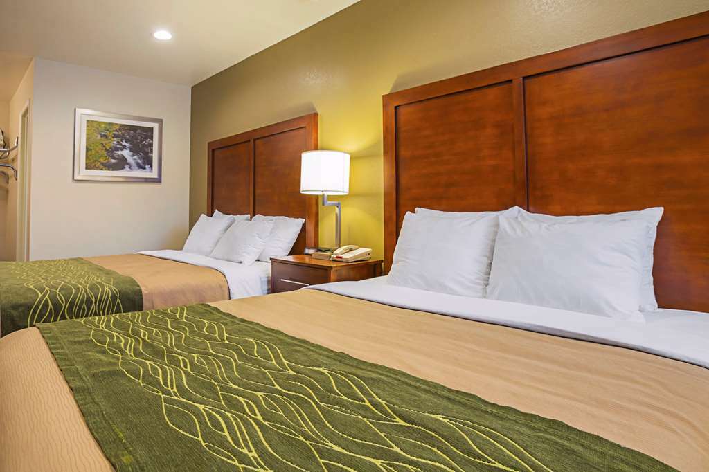 Comfort Inn Bishop Pokoj fotografie